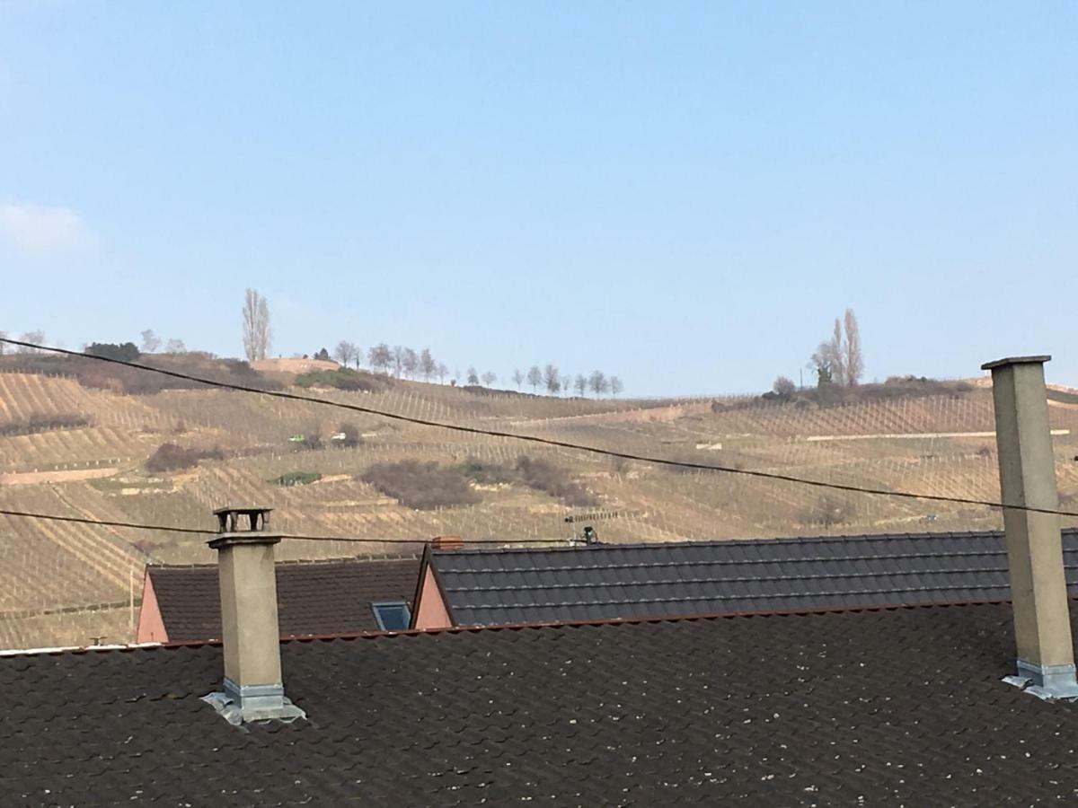 Gite Faubourg Des Pierres Sigolsheim Kültér fotó